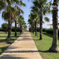 фото из отзыва ID 2688528