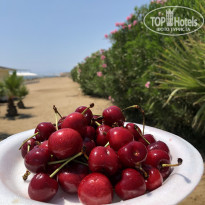 фото из отзыва ID 2688528