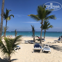 фото из отзыва ID 2688532