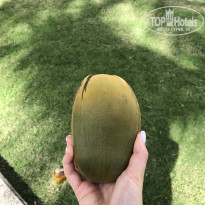 фото из отзыва ID 2688532