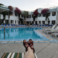 фото из отзыва ID 2688536