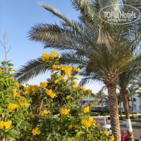 фото из отзыва ID 2688536