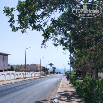 фото из отзыва ID 2688536