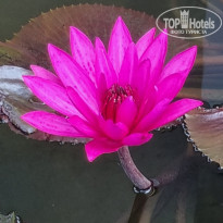 фото из отзыва ID 2688540