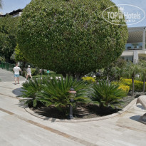 фото из отзыва ID 2688544