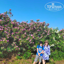 фото из отзыва ID 2688578