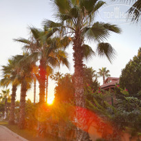 фото из отзыва ID 2688578