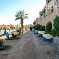 фото из отзыва ID 2688577