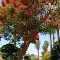 фото из отзыва ID 2687876