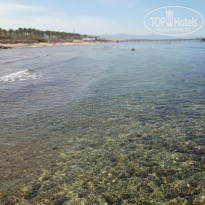 фото из отзыва ID 2687876