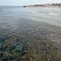 фото из отзыва ID 2687876