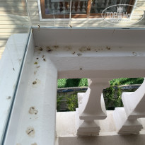 фото из отзыва ID 2688629