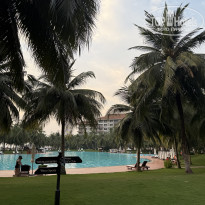 фото из отзыва ID 2688702