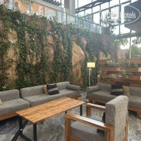 фото из отзыва ID 2688707