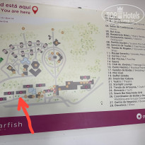 фото из отзыва ID 2688707