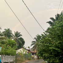 фото из отзыва ID 2688715