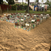 фото из отзыва ID 2688715