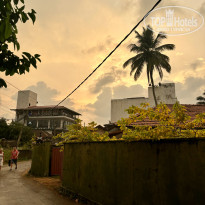 фото из отзыва ID 2688715