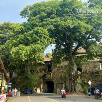 фото из отзыва ID 2688715