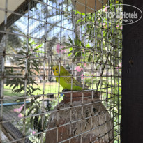 фото из отзыва ID 2688743