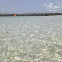 фото из отзыва ID 2688743