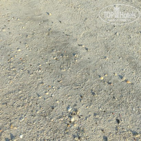 фото из отзыва ID 2688759