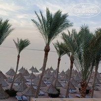 фото из отзыва ID 2687876