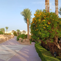 фото из отзыва ID 2687876