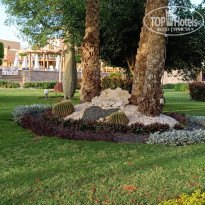 фото из отзыва ID 2687876