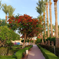 фото из отзыва ID 2687876