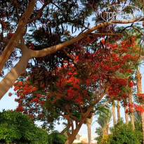 фото из отзыва ID 2687876