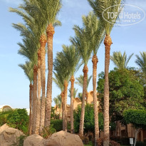 фото из отзыва ID 2687876