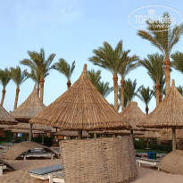 фото из отзыва ID 2687876