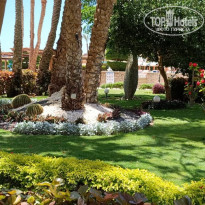 фото из отзыва ID 2687876