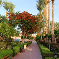 фото из отзыва ID 2687876