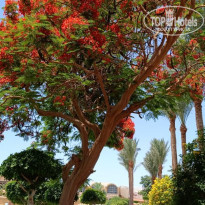 фото из отзыва ID 2687876