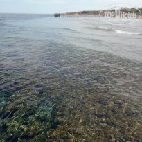 фото из отзыва ID 2687876