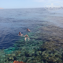 фото из отзыва ID 2687876