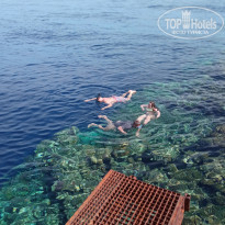 фото из отзыва ID 2687876