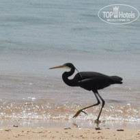 фото из отзыва ID 2688801