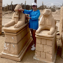 фото из отзыва ID 2688801