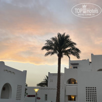 фото из отзыва ID 2688801