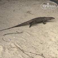 фото из отзыва ID 2688715