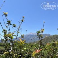 фото из отзыва ID 2688856