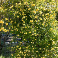 фото из отзыва ID 2688930