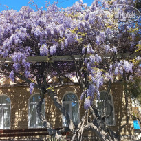 фото из отзыва ID 2688930