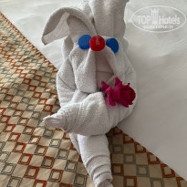 фото из отзыва ID 2688720