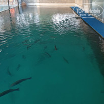 фото из отзыва ID 2688956