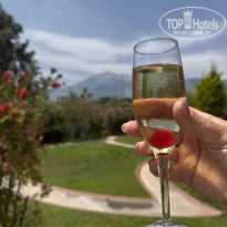 фото из отзыва ID 2689006