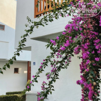 фото из отзыва ID 2689012